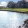 Large lake located on the property 